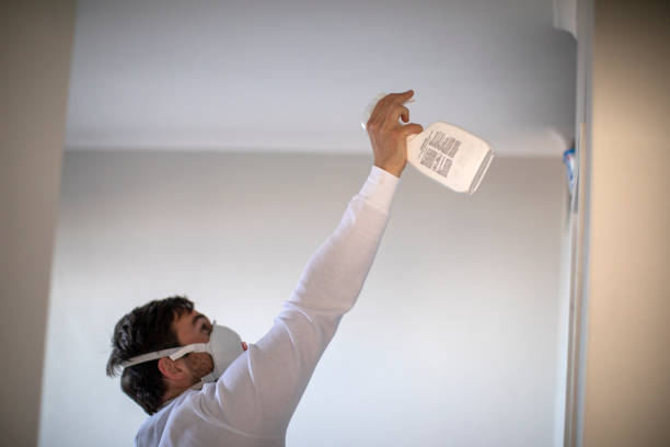 Best Toxic Mold Removal  in Edmore, MI