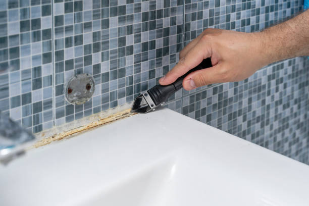 Best Certified Mold Removal  in Edmore, MI
