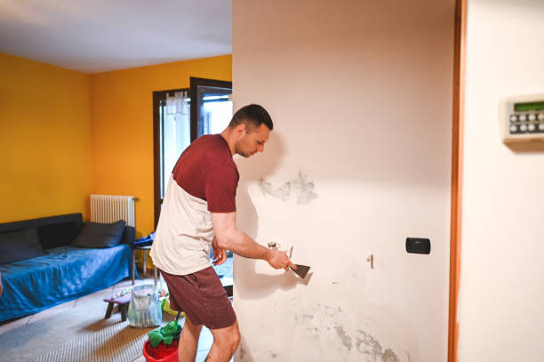 Home Mold Removal in Edmore, MI