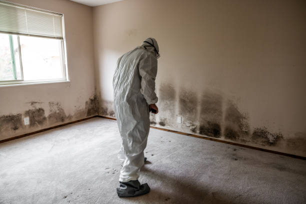 Best Mold Testing  in Edmore, MI